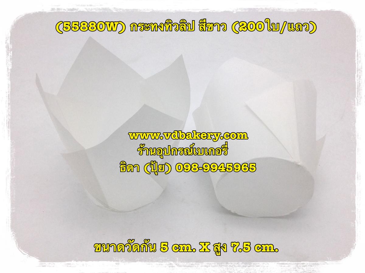 (สินค้าหมด) (55880W) กระทงทิวลิป วัดก้น 5 cm. สีขาว (200ใบ/แถว)